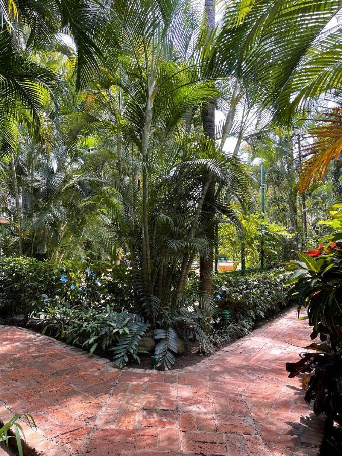 The Best Of Marbella Puerto Vallarta Exteriör bild
