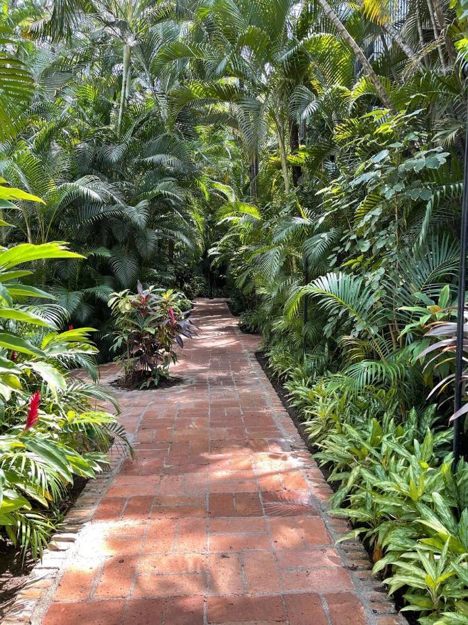 The Best Of Marbella Puerto Vallarta Exteriör bild